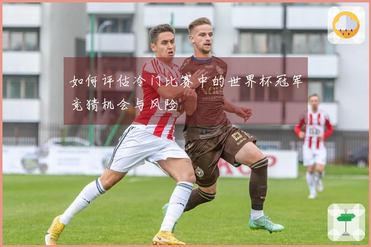 如何评估冷门比赛中的世界杯冠军竞猜机会与风险