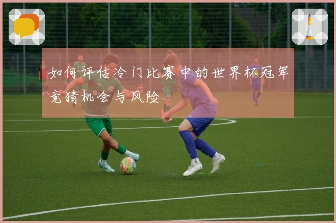 如何评估冷门比赛中的世界杯冠军竞猜机会与风险