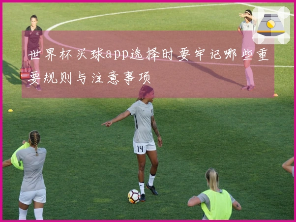世界杯买球app选择时要牢记哪些重要规则与注意事项