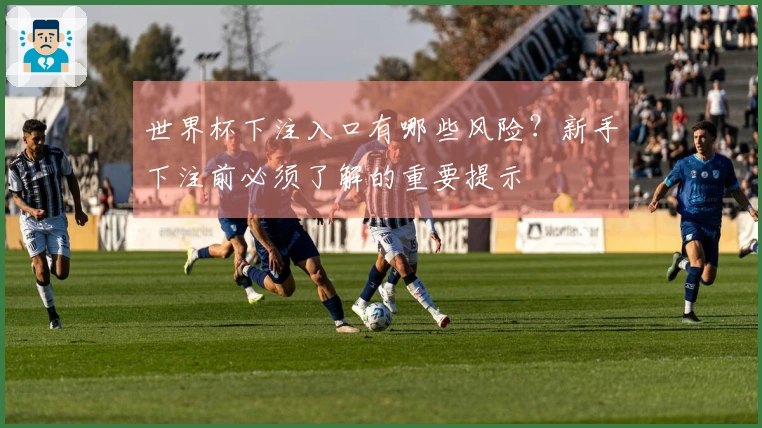 世界杯下注入口有哪些风险？新手下注前必须了解的重要提示